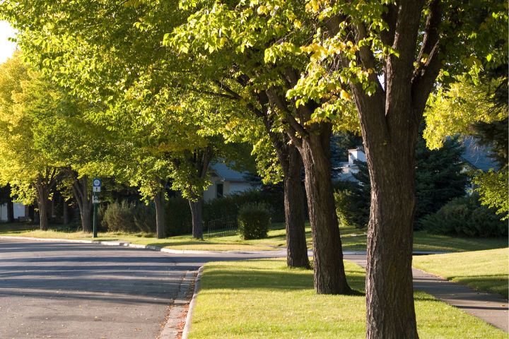 Things To Do Fun Activities in Athens Georgia